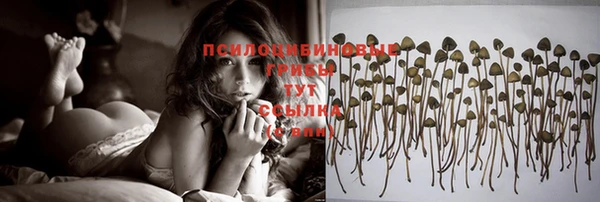 шишки Заволжье