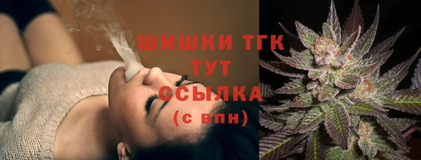 бошки Заводоуковск