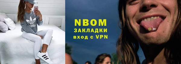 шишки Заволжье