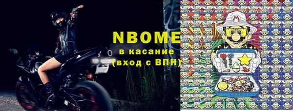 шишки Заволжье
