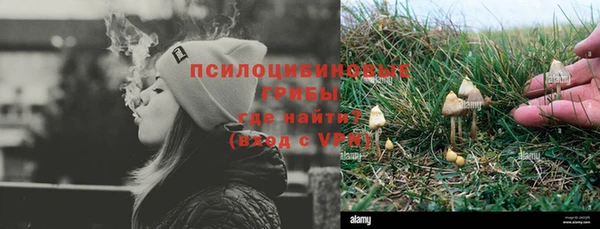 шишки Заволжье